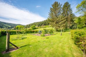 Garden- click for photo gallery